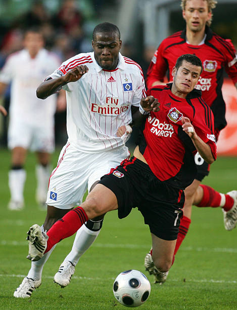 的世界里 的世界里