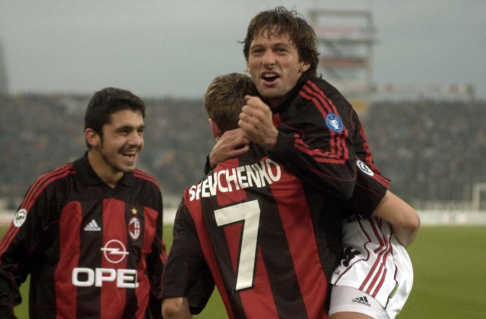 这一消息不 这一消息不